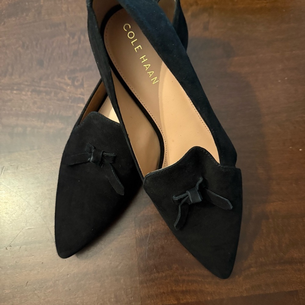 Cole Haan Viola Suede Skimmer Flats 7.5 - Picture 3 of 10
